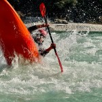 IMG_1481